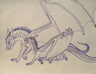 Fierceteeth and Strongwings (Wings of Fire)
art by iron-zing
Keywords: wings_of_fire;nightwing;fierceteeth;strongwings;dragon;dragoness;male;female;feral;solo;non-adult;iron-zing