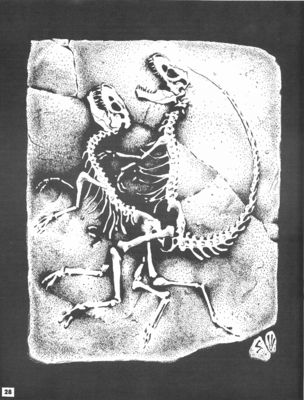 Fossil Sex
unknown artisthttps://www.furaffinity.net/user/gajo
Keywords: dinosaur;theropod;male;female;skeleton;feral;M/F;from_behind