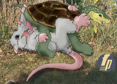 Turtle x Rat
art by frommer_possum
Keywords: chelonian;turtle;furry;rodent;rat;male;feral;M/M;oral;69;penis;spooge;frommer_possum