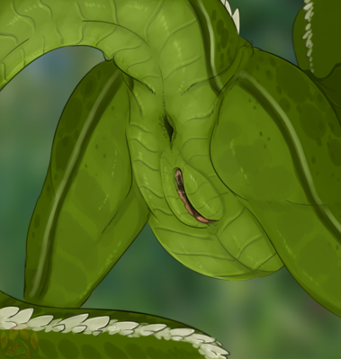 Emerald Scales
art by furrycandyshop
Keywords: dragoness;female;feral;solo;vagina;furrycandyshop