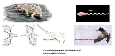 Gastonia burgei Copulating
art by eloymanzanero
Keywords: dinosaur;ankylosaurus;gastonia;male;female;feral;M/F;solo;penis;from_behind;eloymanzanero