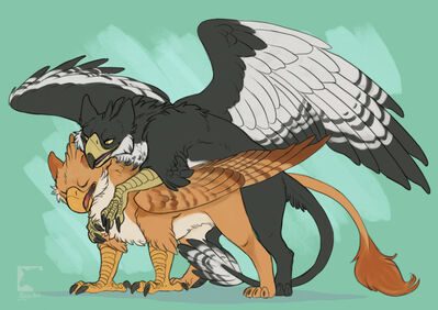 Burds Breeding
art by gryph000
Keywords: gryphon;male;female;feral;M/F;from_behind;suggestive;gryph000