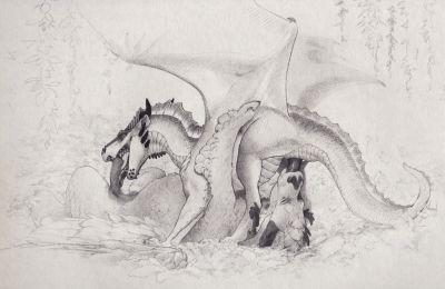 Swallow
art by haan
Keywords: dragon;male;feral;M/M;penis;69;oral;haan