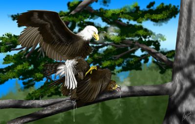 Aetus and Sawyer
art by haliaeetus
Keywords: avian;bird;eagle;hawk;feral;male;M/M;from_behind;spooge;haliaeetus