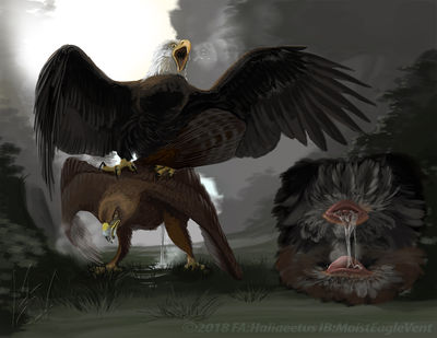 Aetus and Sawyer
art by haliaeetus
Keywords: avian;bird;eagle;bald_eagle;male;feral;M/M;cloaca;closeup;spooge;suggestive;haliaeetus