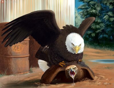 Eagles Breed
art by haliaeetus
Keywords: avian;bird;eagle;falcon;male;feral;M/M;from_behind;suggestive;haliaeetus