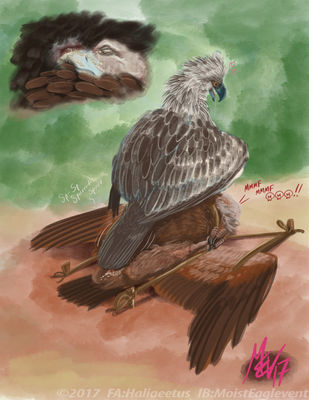 Eagle on Vulture
art by haliaeetus
Keywords: bird;avian;eagle;vulture;male;feral;M/M;cloaca;oral;cloacal_penetration;spooge;closeup;haliaeetus