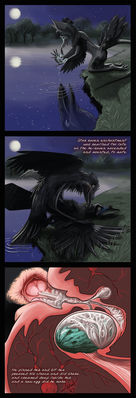 Mounted
art by haliaeetus
Keywords: comic;gryphon;avian;bird;crow;male;female;feral;anthro;M/F;from_behind;internal;spooge;egg;haliaeetus