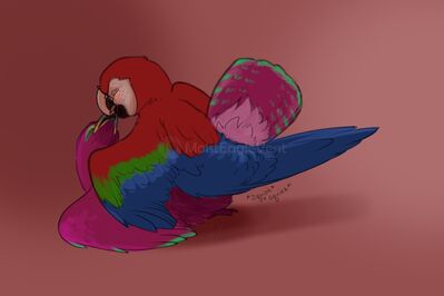 Mating Parrots
art by haliaeetus
Keywords: avian;bird;parrot;male;female;feral;M/F;from_behind;suggestive;haliaeetus