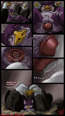 Zeek Comic 6
art by haliaeetus
Keywords: comic;avian;bird;eagle;gryphon;male;female;herm;feral;anthro;M/F;vagina;egg;oviposition;closeup;spooge;haliaeetus