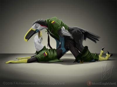 Zentli Fucking Aetus
art by haliaeetus
Keywords: avian;bird;eagle;toucan;male;anthro;M/M;from_behind;anal;haliaeetus