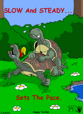 Happy Turtles
art by Kthanid
Keywords: comic;chelonian;turtle;male;female;anthro;M/F;from_behind;humor;Kthanid
