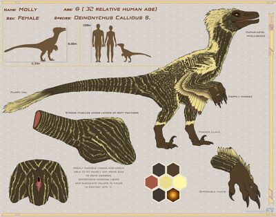 Molly Reference
art by herpydragon
Keywords: dinosaur;theropod;raptor;deinonychus;female;feral;solo;vagina;loseup;reference;herpydragon