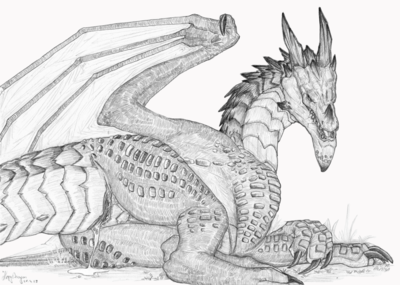 Storm Drake Matriarch
art by herpydragon
Keywords: videogame;world_of_warcraft;dragoness;storm_drake;female;feral;solo;cloaca;spooge;herpydragon