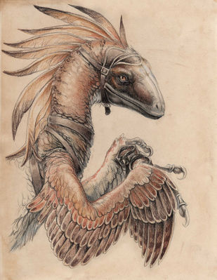 Archeopteryx 1
art by hibbary
Keywords: dinosaur;theropod;archeopteryx;feral;solo;non-adult;hibbary