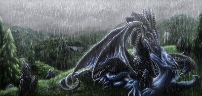 Love In The Silver Rain
art by ijoe
Keywords: dragon;dragoness;male;female;feral;M/F;spoons;ijoe