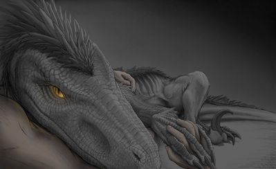 Bed Raptor 1
art by ijoe
Keywords: beast;dinosaur;theropod;raptor;feral;human;man;male;suggestive;ijoe
