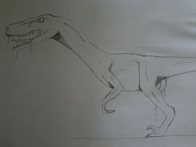 Raptor Erect
unknown artist
Keywords: dinosaur;theropod;raptor;male;feral;anthro;solo;penis;spooge
