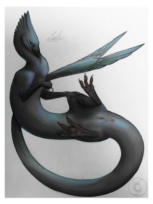 Corvid
art by corvid_female
Keywords: dragoness;avian;bird;crow;hybrid;female;feral;solo;vagina;corvid_female