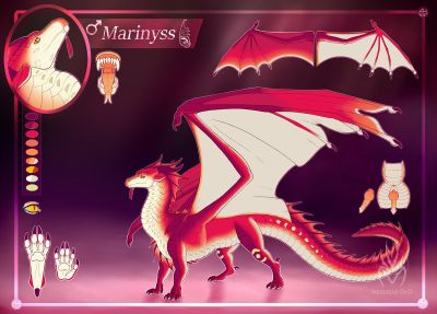 Marinyss Reference (Wings_of_Fire)
art by inereigan
Keywords: wings_of_fire;seawing;dragon;male;feral;solo;penis;closeup;reference;inereigan
