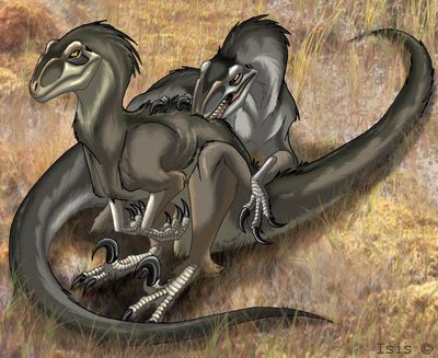Deinonychus Grooming
art by isismasshiro
Keywords: dinosaur;theropod;raptor;deinonychus;feral;non-adult;isismasshiro