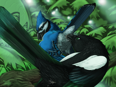 Frisky Corvids
art by jackrow
Keywords: avian;bird;crow;blue_jay;feral;male;M/M;cloaca;oral;cloacal_penetration;spooge;jackrow