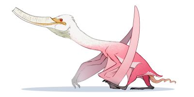 Pterosaur
art by jajavosmiraa
Keywords: dinosaur;pterodactyl;male;feral;solo;penis;jajavosmiraa