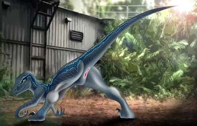 Blue Presenting 1
art by jake-dragon
Keywords: jurassic_world;dinosaur;theropod;raptor;deinonychus;blue;female;feral;solo;presenting;cloaca;jake-dragon