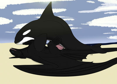 Orca Fury Fun Times
art by john_carver_dragon
Keywords: how_to_train_your_dragon;httyd;night_fury;furry;cetacean;orca;dragoness;male;female;feral;M/F;penis;missionary;vaginal_penetration;spooge;beach;john_carver_dragon