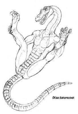 Compy
art by kaa
Keywords: dinosaur;theropod;compsognathus;male;anthro;solo;cloaca;suggestive;kaa