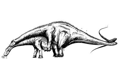 Diplodocus Mating
art by Karel Cettl
Keywords: dinosaur;sauropod;diplodocus;male;female;feral;M/F;from_behind;karel_cettl