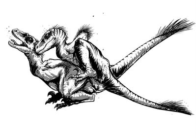 Raptor Sex
art by Karel Cettl
Keywords: dinosaur;theropod;raptor;deinonychus;male;female;feral;M/F;from_behind;karel_cettl
