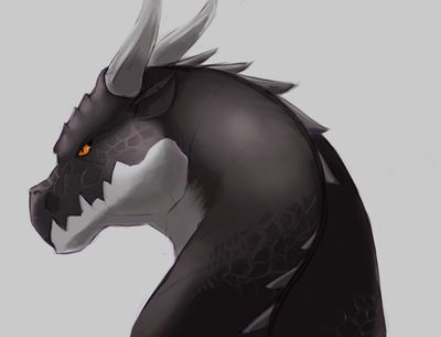 Morrowseer (Wings of Fire)
art by katsuka
Keywords: wings_of_fire;nightwing;morrowseer;dragon;male;feral;solo;non-adult;katsuka