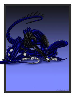 Male Xenos 2
art by ashley_markley
Keywords: alien;xenomorph;anthro;male;M/M;penis;missionary;anal;spooge;ashley_markley