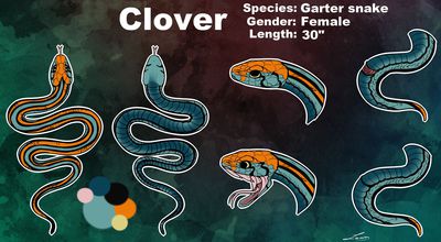 Clover
art by lainn
Keywords: snake;female;feral;solo;cloaca;closeup;reference;lainn