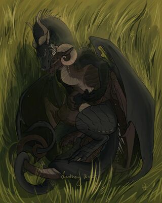 Warm Embrace (Wings_of_Fire)
art by leatherywings
Keywords: wings_of_fire;nightwing;icewing;hybrid;darkstalker;moonwatcher;dragon;dragoness;male;female;feral;M/F;non-adult;romance;leatherywings