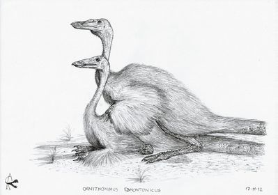 Ornithomimus Mating
art by xezansaur
Keywords: dinosaur;theropod;ornithomimus;male;female;feral;M/F;from_behind;xezansaur