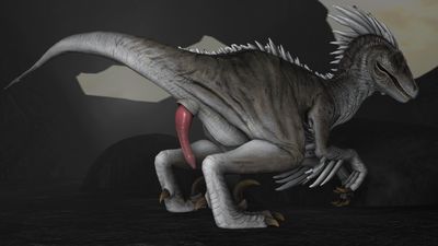 Black and White
art by lilfoxf
Keywords: dinosaur;theropod;raptor;male;feral;solo;penis;cgi;lilfoxf