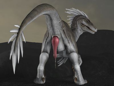 Rear View
art by lilfoxf
Keywords: dinosaur;theropod;raptor;male;feral;solo;penis;cgi;spooge;lilfoxf