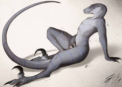 Anthro Velociraptor
art by lizet
Keywords: dinosaur;theropod;raptor;velociraptor;female;anthro;solo;cloaca;spread;lizet