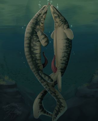 Male Mosasaurs
art by LuthienArts
Keywords: dinosaur;mosasaurus;male;feral;M/M;penis;missionary;suggestive;LuthienArts