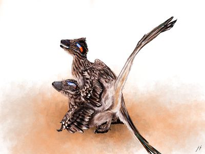 Mating Dakotaraptors
art by jesse_griesi
Keywords: dinosaur;theropod;raptor;dakotaraptor;male;female;feral;M/F;from_behind;jesse_griesi