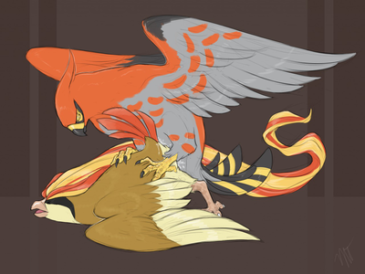 Talonflame x Pidgeot Mating
art by melvismd
Keywords: anime;pokemon;avian;bird;pigeon;talonflame;pidgeot;male;female;M/F;from_behind;cloacal_penetration;spooge;melvismd
