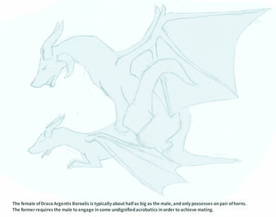 Draco Argentis Mating
art by mickel
Keywords: dragon;dragoness;male;female;feral;M/F;from_behind;suggestive;mickel
