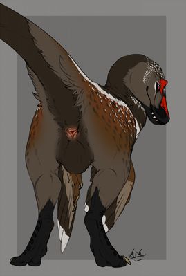 Lewd Raptor
art by mirkrali
Keywords: dinosaur;theropod;raptor;deinonychus;female;feral;solo;cloaca;mirkrali