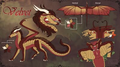 Velvet (Wings_of_Fire)
art by moonski
Keywords: wings_of_fire;sandwing;silkwing;hybrid;dragoness;female;feral;solo;vagina;closeup;reference;moonski