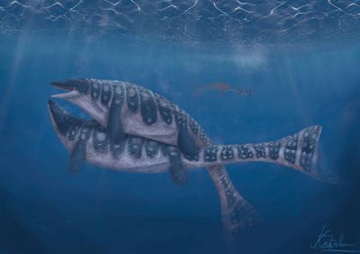 Mosasaurus hoffmanni Pair
art by fossilpro
Keywords: dinosaur;mosasaurus;male;female;feral;M/F;from_behind;suggestive;fossilpro