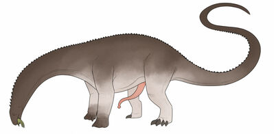 Apatosaurus
art by nakatakoi
Keywords: dinosaur;sauropod;apatosaurus;male;feral;solo;penis;nakatakoi
