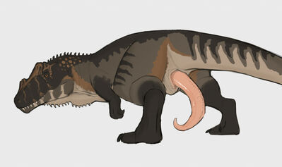Giganotosaurus
art by nakatakoi
Keywords: dinosaur;theropod;giganotosaurus;male;feral;solo;penis;nakatakoi