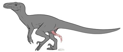 Velociraptor
art by nakatakoi
Keywords: dinosaur;theropod;raptor;velociraptor;male;feral;solo;penis;spooge;nakatakoi